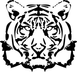 Handdrawn tiger head. Chinese symbol of the New Year 2022.