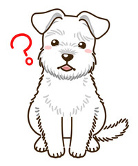 疑問に思うシュナウザー（白）