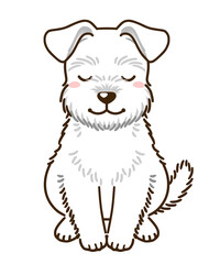 おじぎするシュナウザー（白）