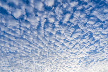 The fluffy white clouds full on blue sky, nature texture picture.
