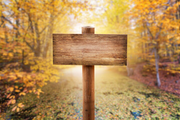 Natural wooden Mock up sign board or direction boardin the forest with autumn background.