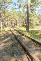 Fototapeta premium Narrow-gauge railway tracks curve in the forest at summer time on Hel peninsula.