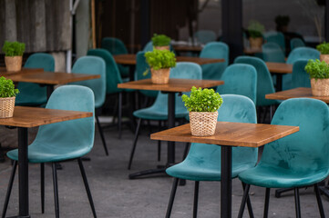 Leere Stühle mit Bezügen aus Samt in Türkis und Tische mit Pflanzen in Töpfen. Stylish, Bestuhlung in der Gastronomie, einem Café. Ohne Menschen, geringe Schärfentiefe, copy space - obrazy, fototapety, plakaty