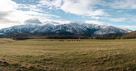 Panoramic view of farmland in the southern alps full of snow