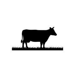 Cow for an icon or symbol isolated on white background