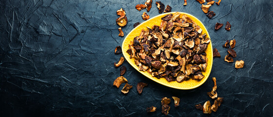 Forest dried mushrooms,long banner