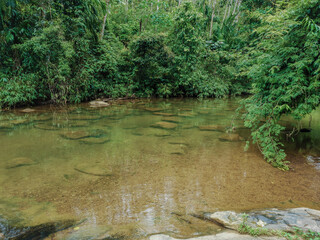 Kumari Ella (Kumari Water Fall) In Sri Lanka