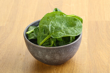 Fresh green spinach leaves in the bowl