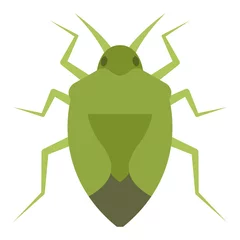 Foto op Canvas Flat color icon for stink bug. © Graphic Mall