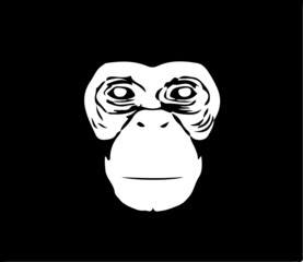 monkey vector isolated on background