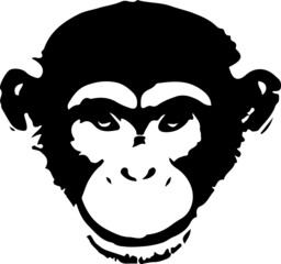 monkey vector isolated on background