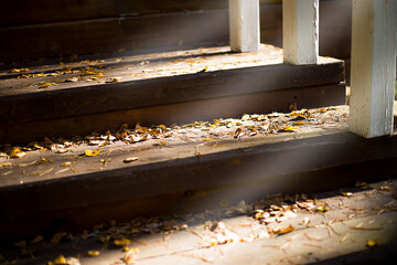 Old steps in autumn leaves and the rays of the sun.
