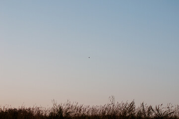 blue sky with clouds
