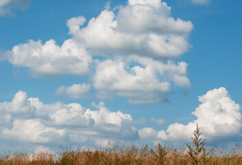 Fototapeta premium blue sky with clouds