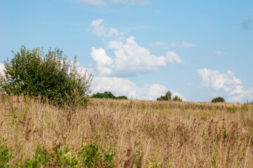 blue sky with clouds