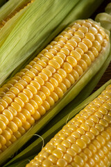 Closeup of fresh organic corn