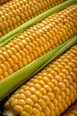 photo of ripe corn cobs