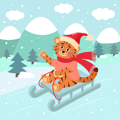 Fototapeta premium Cute tiger in hat and scarf is sledding. Winter landscape. Christmas greeting card.