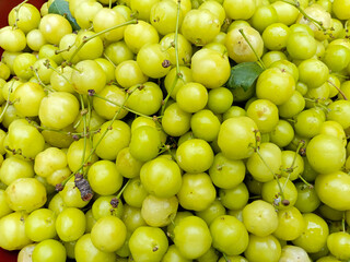 tasty and healthy star gooseberry stock on shop