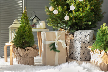 Christmas gift boxes with small real Christmas trees