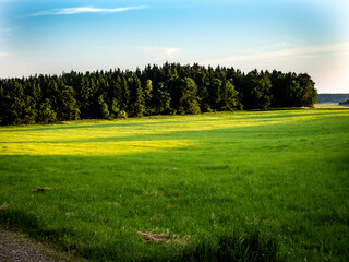 Landscape - Landschaft