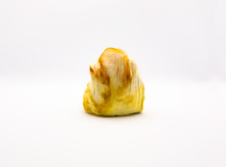 TEEGAMI - Teebeutel nach Gebrauch zu Schade für den Müll