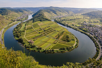 Beautiful landscape of the German Mosel wine region