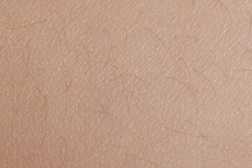 Small hair on human skin surface
