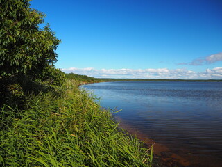 青い空と穏やかなウトナイ湖