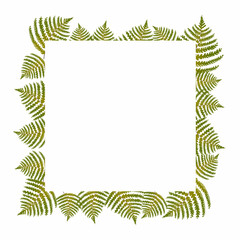 Frame with fern branches. Bitmap image