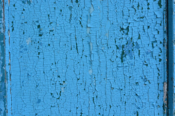Blue paint on the door cracked with a small pattern, close-up, fragment - 461982707