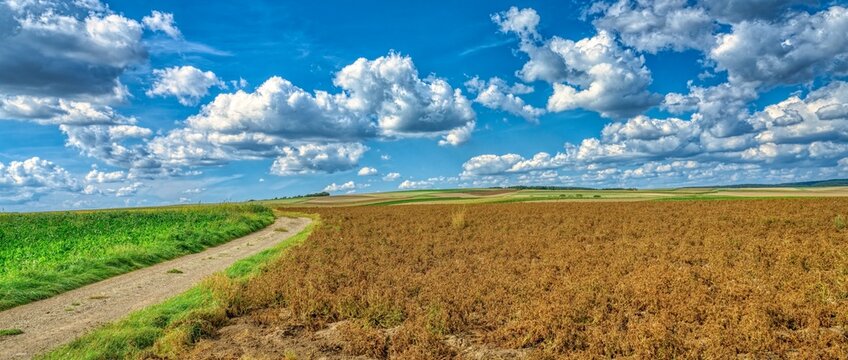 lower austrian landscape with tumulus near grossmugl leeberg