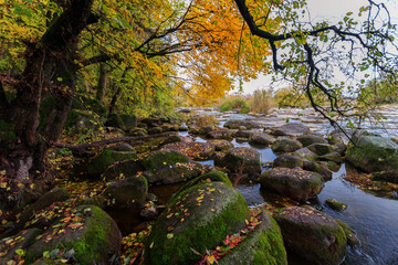 Autumn river bank with beautiful large stones, blue sky and trees