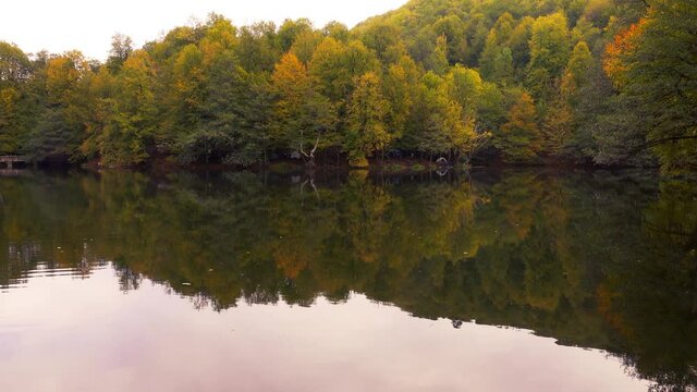 Reflection of trees with yellowed leaves in autumn in the water.