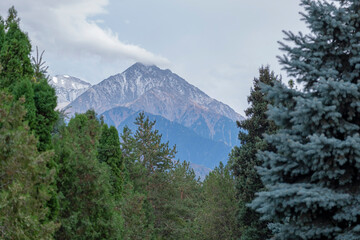 snow covered mountains
Mountain view through spruce and pine trees. Mountain view from the Atakent Park in Almaty.