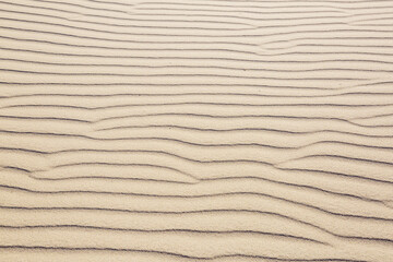 Sand texture