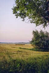 bales of hay on a field after harvesting in an early foggy morning