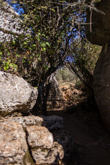 Torcal de Antequera, provincia de Malaga, comunidad autonoma de Andalucia o Andalusia, pais de España o Spain
