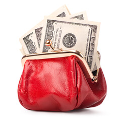 Purse and paper dollars