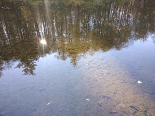 river in winter