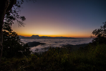 Naklejka premium The fog and the first light of the day