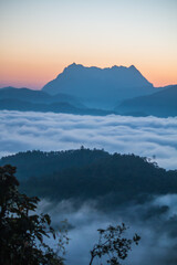 The fog and the first light of the day