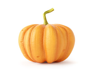 Ripe pumpkin vegetable. Autumn harvest for Thanksgiving Day