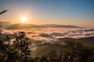 The fog and the first light of the day