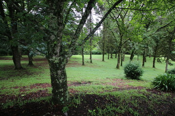 Jardines del Convento del Siambón.