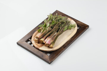 두릅,봄나물,건강,고해상,다수,두릅,사람없,음식물,신선,오브젝트,웰빙,조각보,채반,초록색,컨셉,하이앵글,화이트