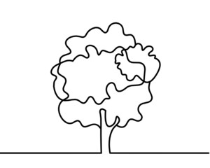 Abstract tree as line drawing on the white background. Vector