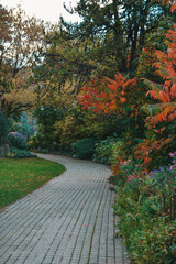 Beautiful path in the park in autumn. Yellow leaves on the trees.