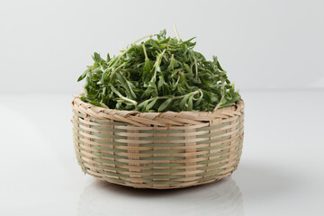 돌나물,봄나물,건강,고해상,다수,두릅,사람없,음식물,신선,오브젝트,웰빙,조각보,채반,초록색,컨셉,하이앵글,화이트