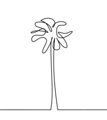 Abstract palm tree as line drawing on the white background. Vector